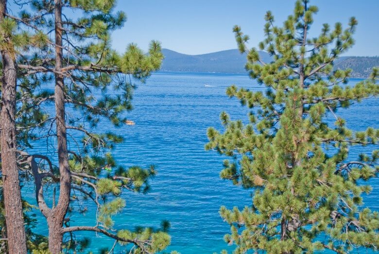 Lake Tahoe Beaches: Can Almost See Tahoe Nessy, 2012 Copyright Christine Hull, Windy Pinwheel things to do in lake tahoe