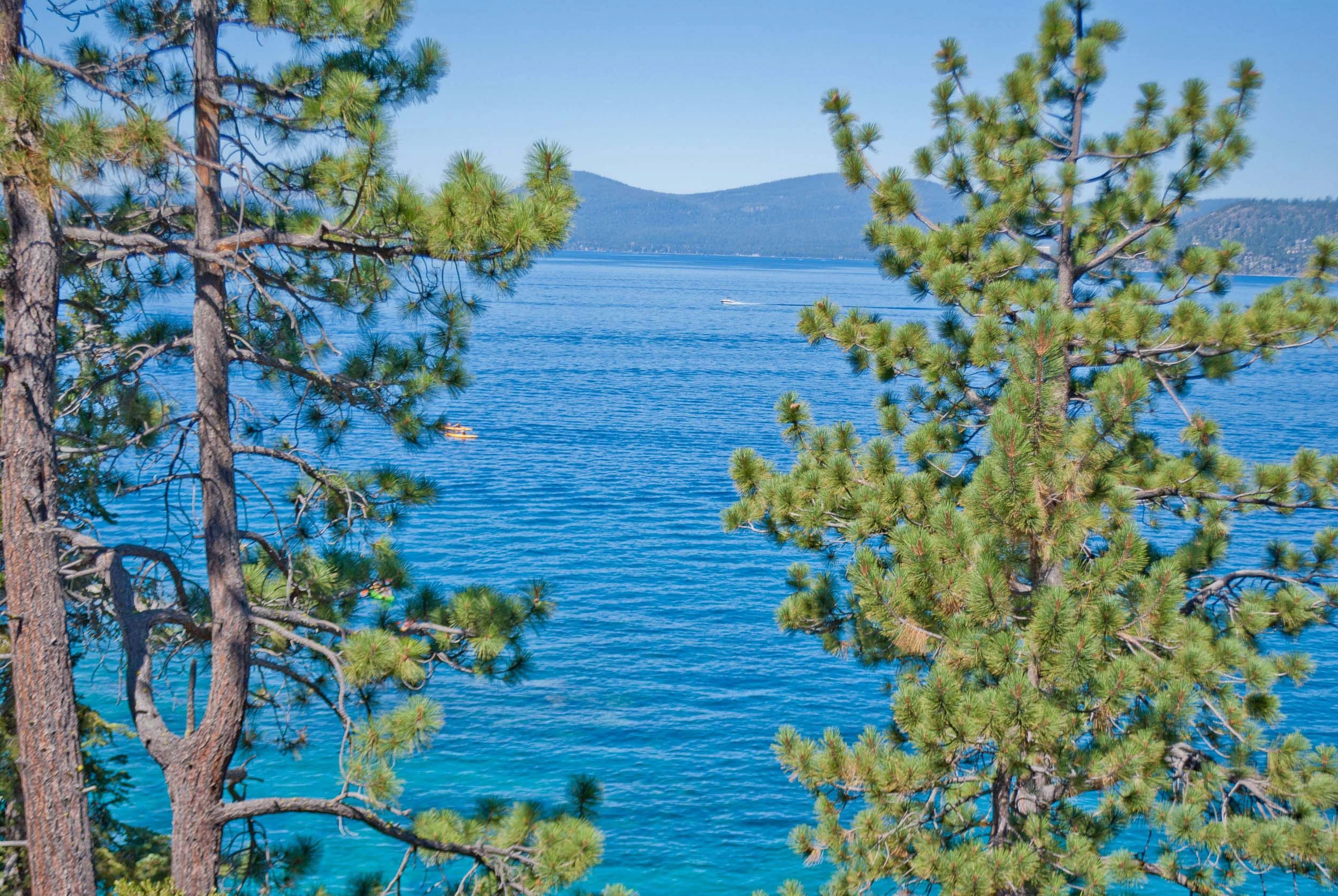 Lake Tahoe Beaches: Can Almost See Tahoe Nessy, 2012 Copyright Christine Hull, Windy Pinwheel things to do in reno with kids