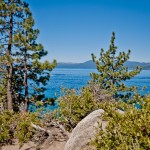 Lake Tahoe Beaches: Foliage, 2012 Copyright Christine Hull, Windy Pinwheel