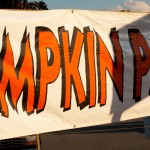 Pumpkin Patch, 2012 Copyright Will Hull, Windy Pinwheel
