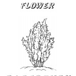 Nevada Day Coloring Book: Sagebrush, the State Flower, 2012 Copyright Christine Hull, Windy Pinwheel