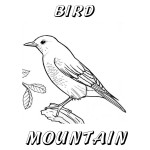 Nevada Day Coloring Book: State Bird, Mountain Blue Bird, 2012 Copyright Christine Hull, Windy Pinwheel free printable nevada coloring book