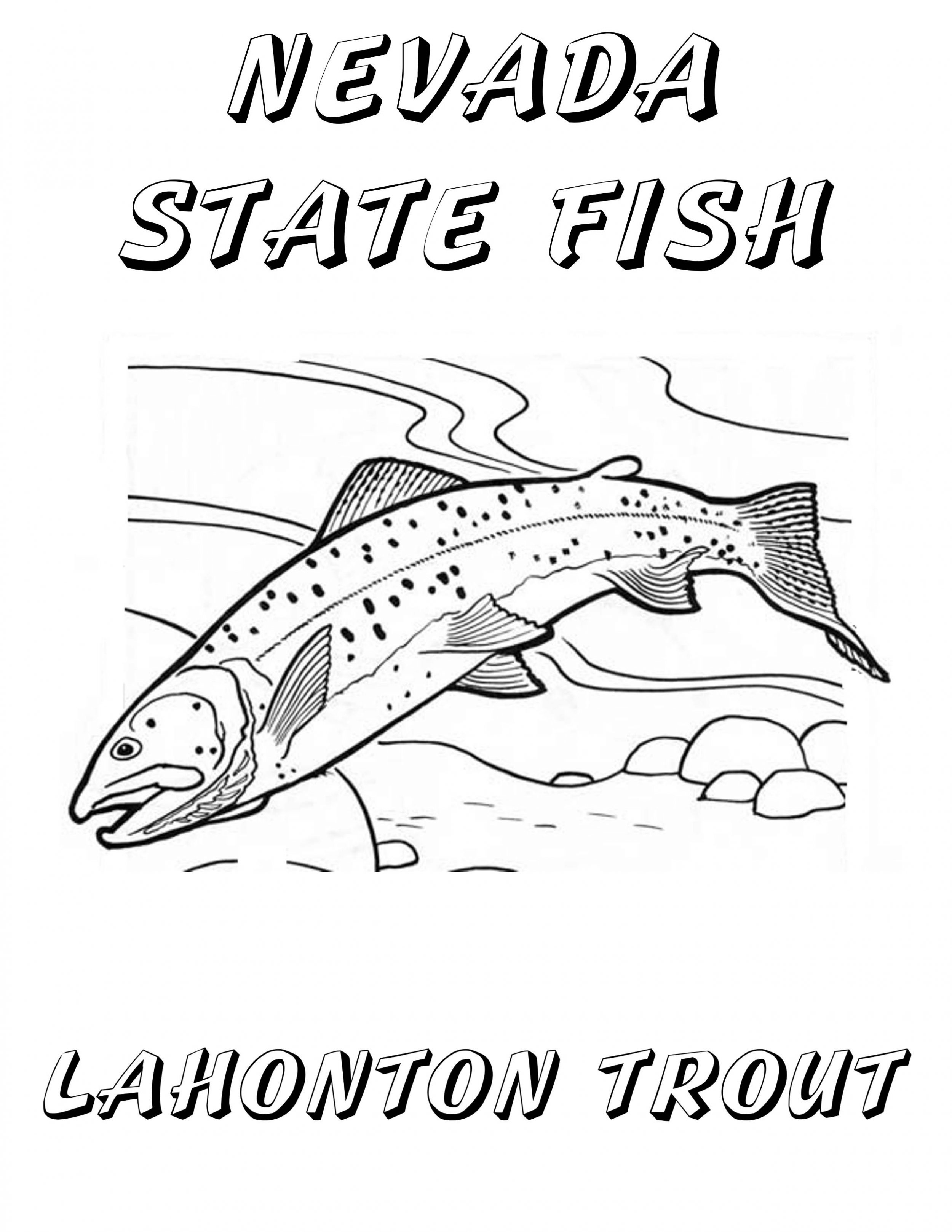 Nevada Day Coloring Book State Fish Lahontan Cutthroat Trout 2012 Copyright Christine Hull