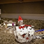 Elf on the Shelf: Marshmallow Spa with Chocolate Chips, 2012 Copyright Will Hull, Windy Pinwheel