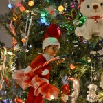 Elf on the Shelf: In the Christmas tree, 2013 Copyright Will Hull, Windy Pinwheel