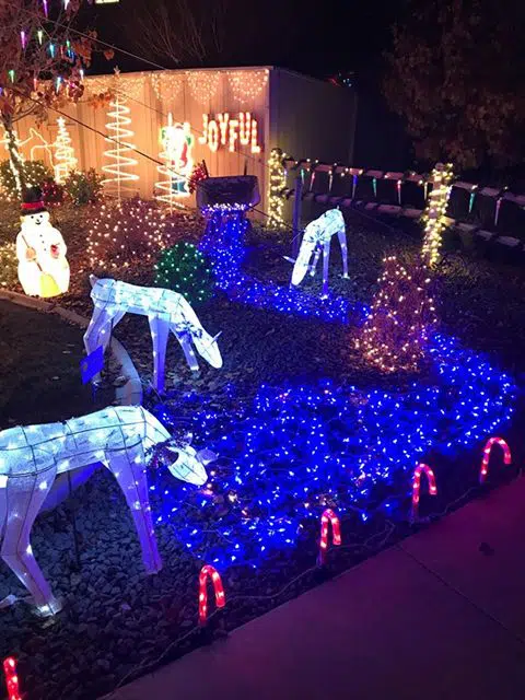 Pebble Hill Drive, Reno, NV (4), Source: Andrew Pointer, Facebook best places to see christmas light displays in reno