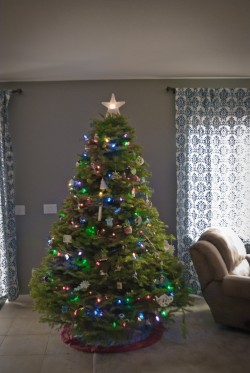 Reno Christmas Trees: Will and Christine's Tree, 2012 Copyright Will Hull, Windy Pinwheel reno christmas tree