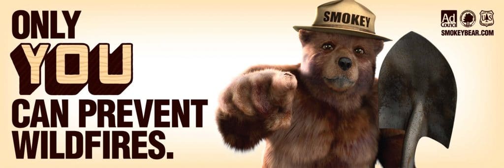 Smokey Bear Poster: 2001 Banner, Source: PR Newswire only you can prevent wildfires