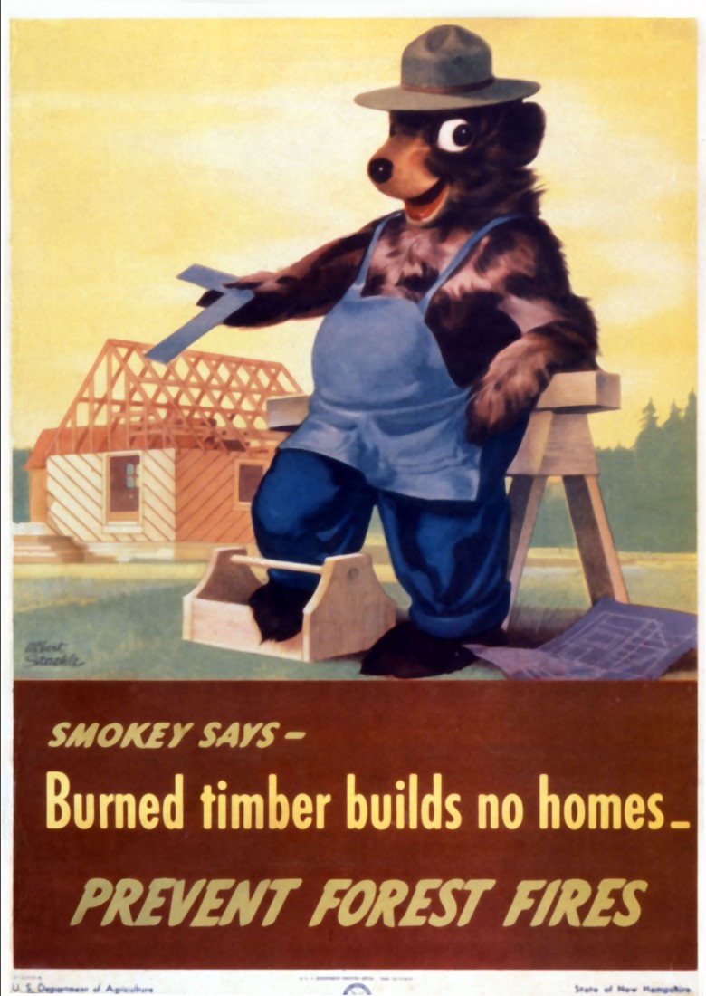 Smokey Bear: Burned Timber Builds No Homes, Source: The Greatest Good, A Forest Service Centennial Film only you can prevent wildfires