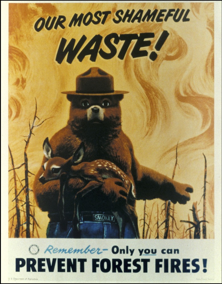 Smokey Bear: Saving Bambi, Source: The Greatest Good, A Forest Service Centennial Film only you can prevent wildfires