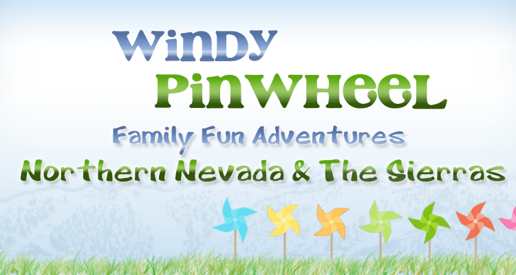 Windy Pinwheel | Shop | Family Fun Adventures reciprocal links