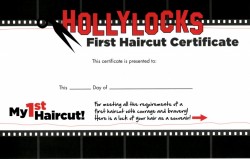Hollylocks: Baby's first haircut, Source: Hollylocks website hollylocks