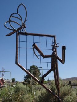 Source: Nevada Bugs & Butterflies [object object] things to do in reno with kids