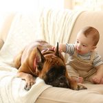 Babyproofing: Keep children safe around the family pet, Source: Crystal Watson, MakeYourBabyLaugh.com baby proofing