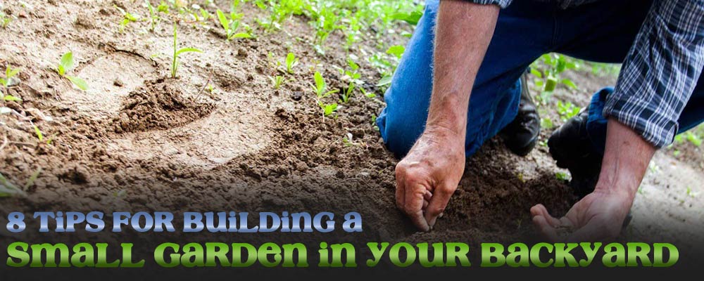 8 tips for building a small garden in your backyard