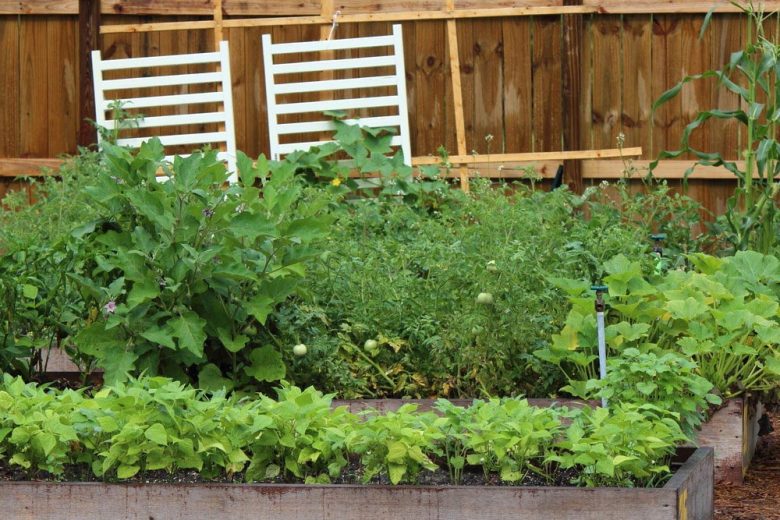 Start designing the small garden, Source: Ann Katelyn, SumoGardener.com building a small garden in your backyard