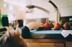 Building healthy eating habits for kids: A child reaching for strawberries on a kitchen counter, Source: Jennifer O'Neal at AllExerciseBikes.net healthy eating habits for kids