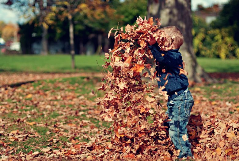 Kid playing in fallen leaves, Source: Pexels vaccines protect children against disease