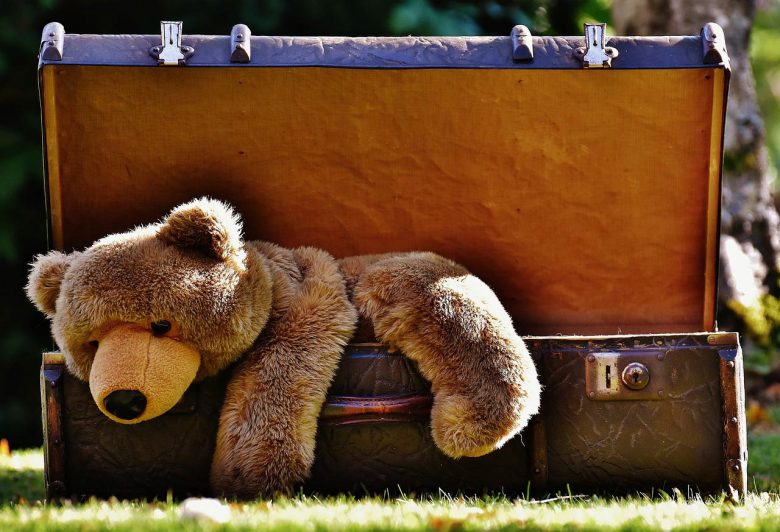 Teddy bear climbing out of luggage, Source: Pixabay taking your kids on vacation