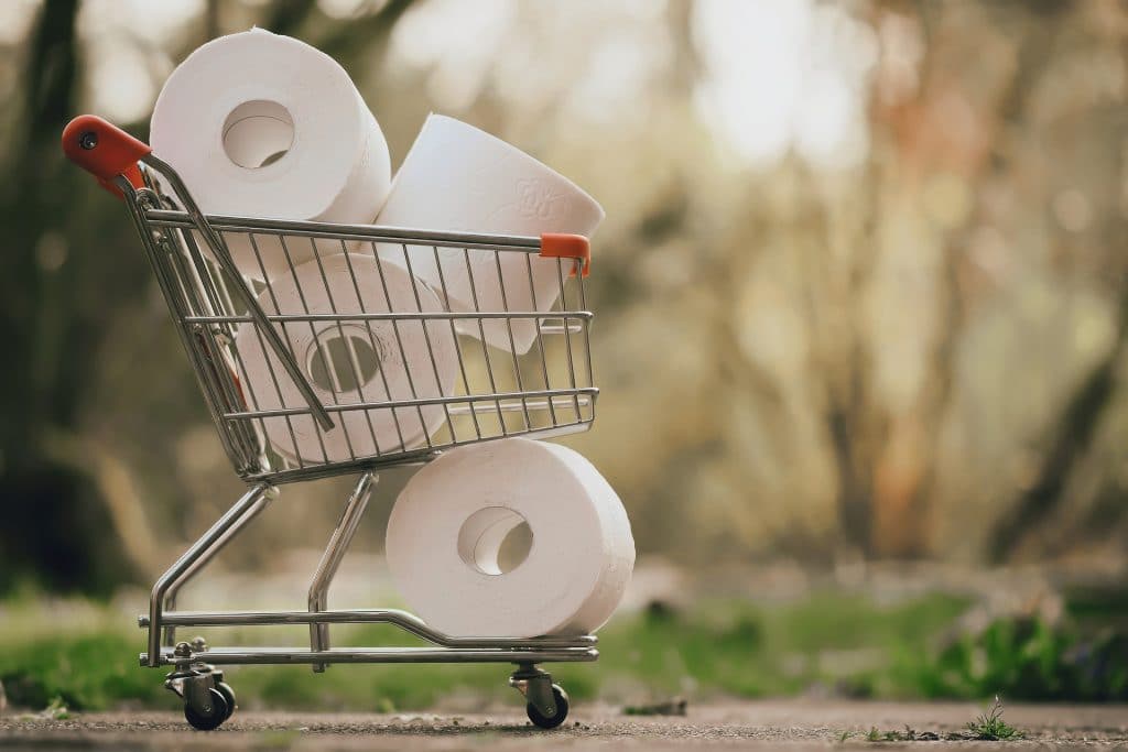 Toy shopping cart filled with toilet paper rolls, Source: Pixabay kids bathroom remodeling ideas